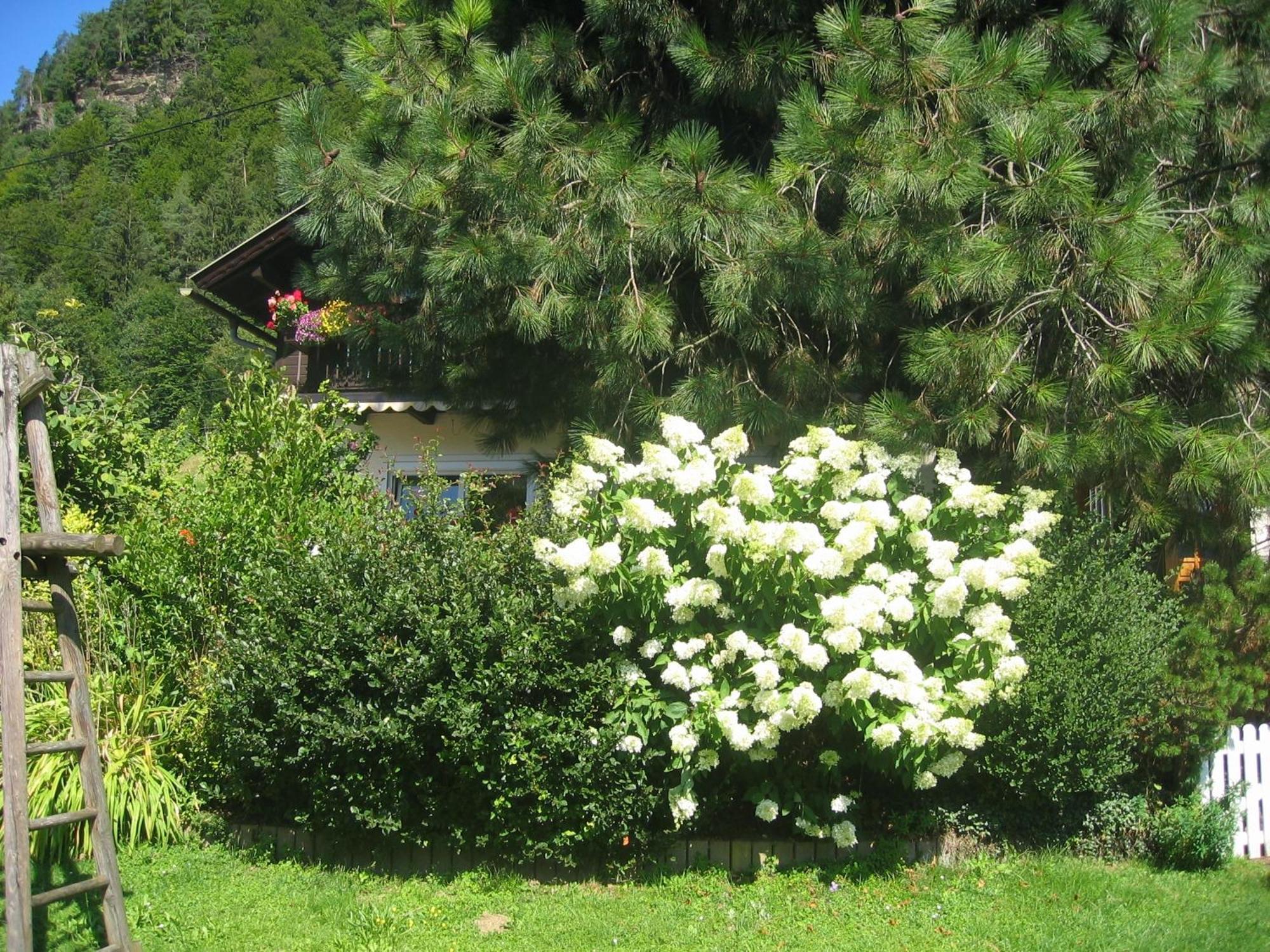 Pension Wolf Steindorf am Ossiacher See Exteriér fotografie
